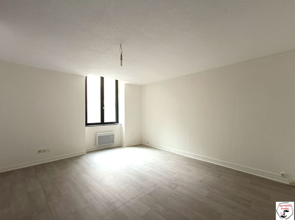 Appartement Studio TOURNON SUR RHONE 390€ SAPET MICHELAS IMMOBILIER Appartement Studio TOURNON SUR RHONE 390€ SAPET MICHELAS IMMOBILIER