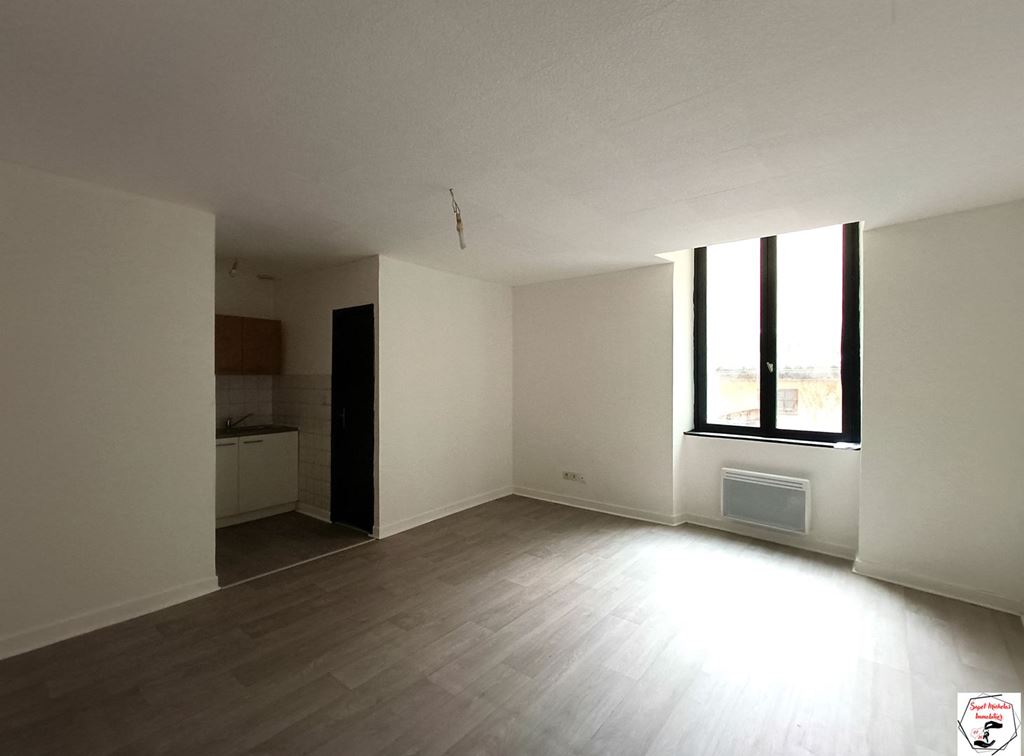 Appartement Studio TOURNON SUR RHONE 360€ SAPET MICHELAS IMMOBILIER Appartement Studio TOURNON SUR RHONE 360€ SAPET MICHELAS IMMOBILIER